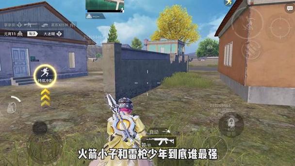 dma和平精英外挂