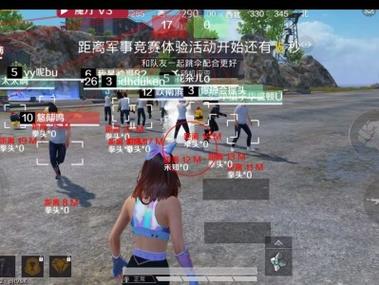 和平精英大黄蜂外挂下载